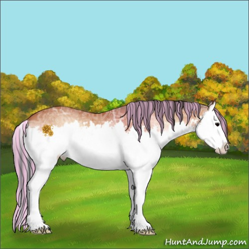 Horse Color:Painted Bay Ice Onyx Splash 