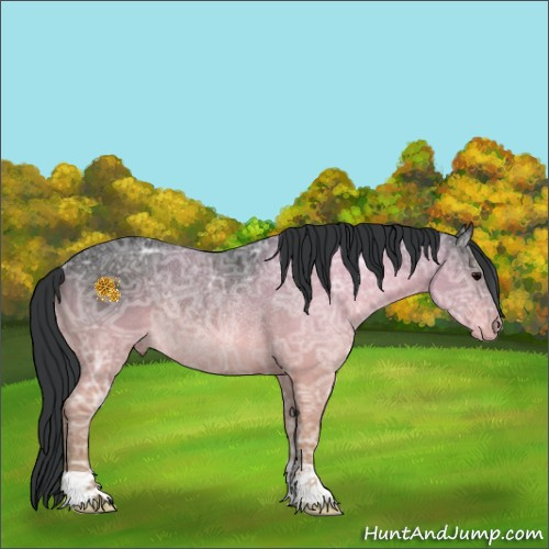 Horse Color:Brown Ice Rabicano 
