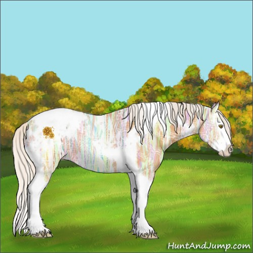 Horse Color:Silver Buckskin Ice Splash Tobiano Appaloosa 