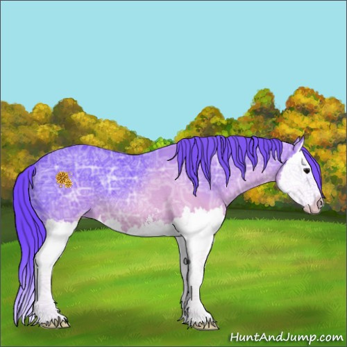 Horse Color:Watercolor Black Ice Sabino Splash 
