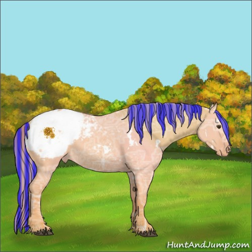 Horse Color:Painted White Spotted Palomino Ice Dun Appaloosa 
