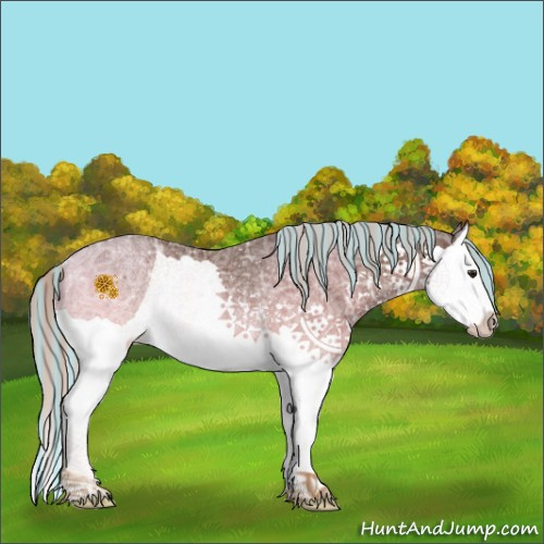 Horse Color:Painted Silver Bay Ice Splash Rabicano 