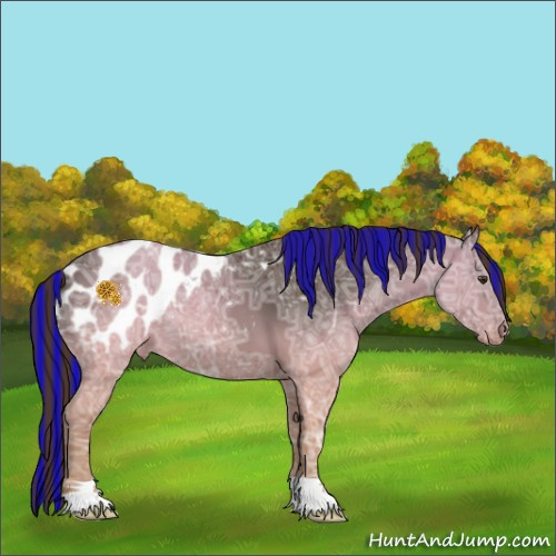 Horse Color:Painted Liver Chestnut Ice Appaloosa 