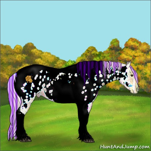 Horse Color:Painted Silver Buckskin Ice Tobiano Appaloosa 