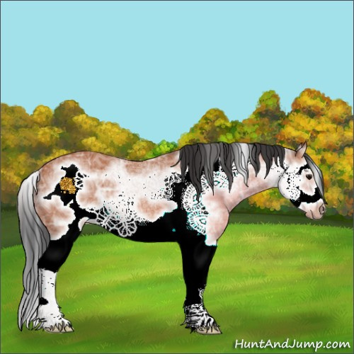 Horse Color:Bay Ice Splash Frame Rabicano 