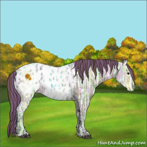 Horse Color:Painted Smoky Grullo Ice Appaloosa 