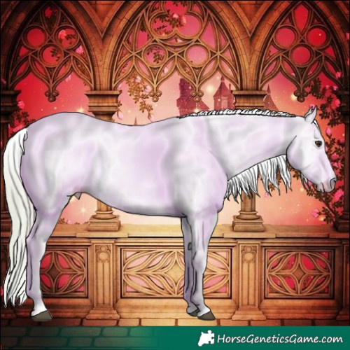 Horse Color:Watercolor Red Dun Sabino
