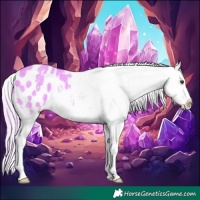 Horse Color:Watercolor Chocolate Palomino Dun Sabino Appaloosa