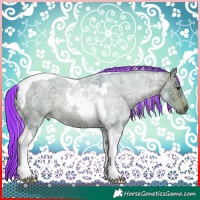Horse Color:Painted Watercolor Silver Brown Ice Roan Tobiano Rabicano 
