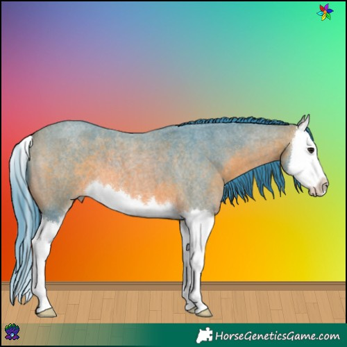 Horse Color:Watercolor Bay Roan Splash 