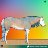 Horse Color:Watercolor Bay Roan Splash 