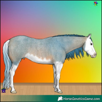 Horse Color:Watercolor Bay Roan Splash
