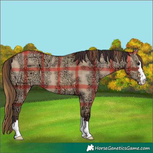 Horse Color:Plaid  Bay Ice Dun 
