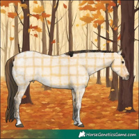 Horse Color:Plaid  Bay Ice Dun 