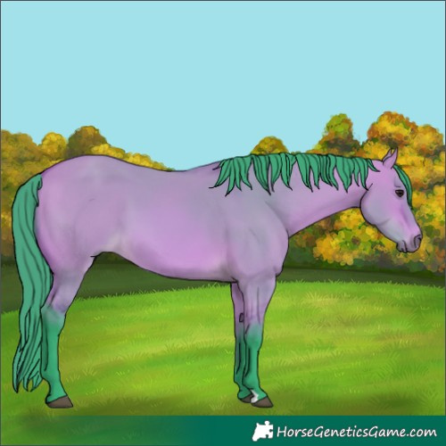 Horse Color:Watercolor Bay Dun