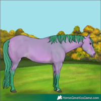 Horse Color:Watercolor Bay Dun 