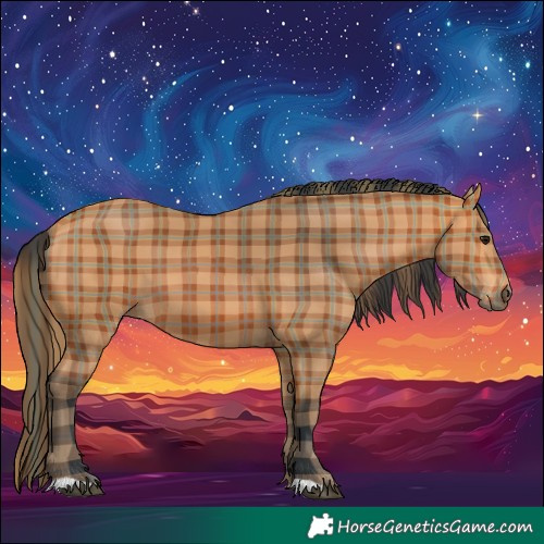 Horse Color:Plaid  Bay 