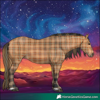 Horse Color:Plaid  Bay 