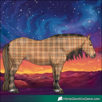 Horse Color:Plaid Bay