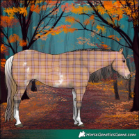 Horse Color:Plaid  White Spotted Bay 
