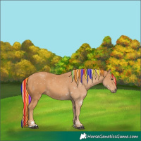 Horse Color:Painted Chestnut 