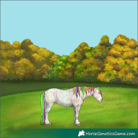 Horse Color:Painted Chestnut Ice Rabicano