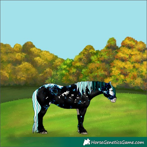 Horse Color:Painted Silver Amber Champagne Ice Dun Sabino
