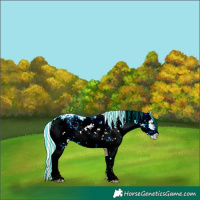 Horse Color:Painted Silver Amber Champagne Ice Dun Sabino 