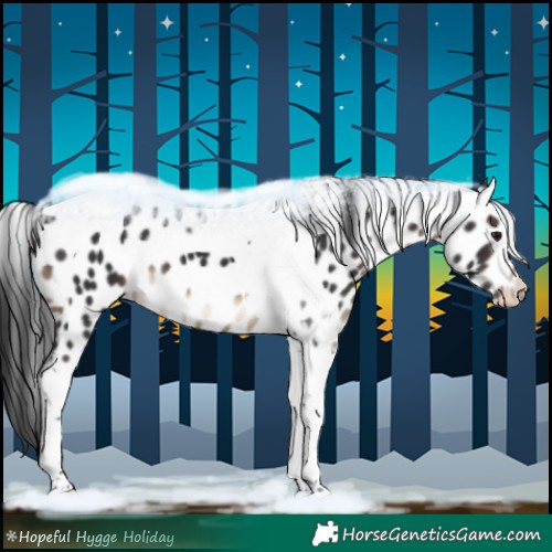 Horse Color:Brown Tobiano Leopard 