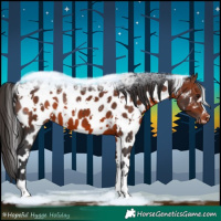 Horse Color:White Spotted Brown Appaloosa 