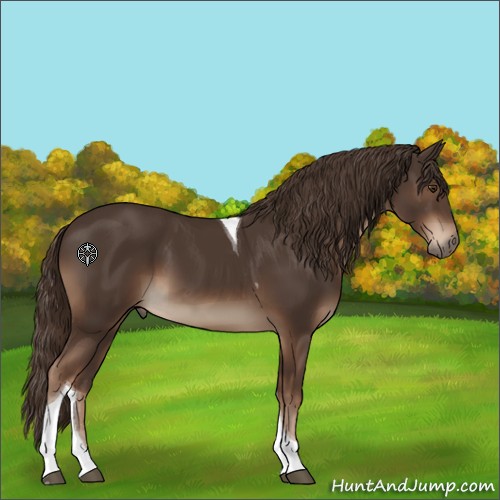 Horse Color:Liver Chestnut Tobiano 