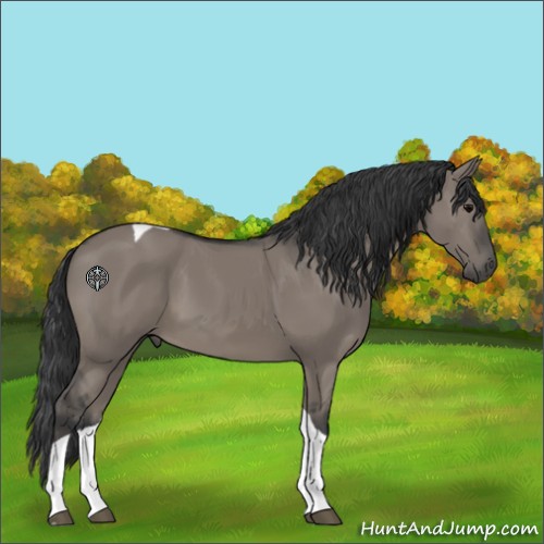 Horse Color:Grullo Tobiano 