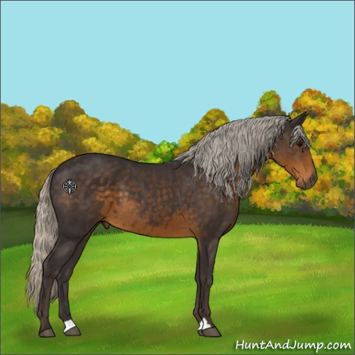 Horse Color:Silver Smoky Black 
