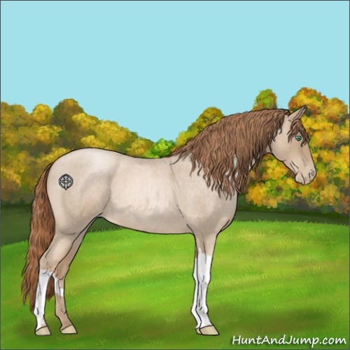 Horse Color:Smoky Blue Roan Pearl 