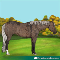 Horse Color:Silver Brown Dun Brindle 