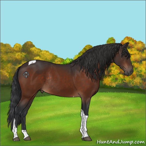 Horse Color:Brown Tobiano Rabicano 