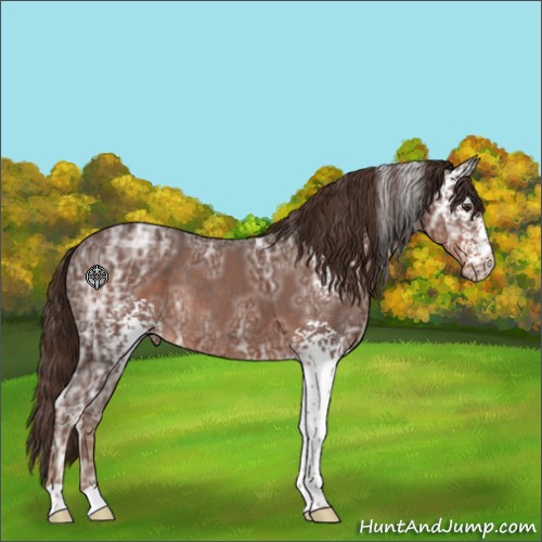 Horse Color:White Spotted Liver Chestnut Ice Rabicano 