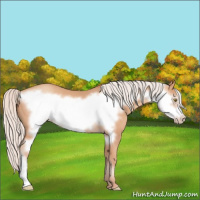 Horse Color:Silver Amber Champagne Frame 