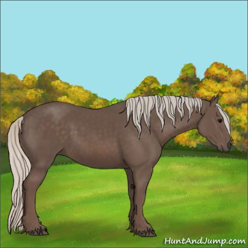 Horse Color:Silver Black 