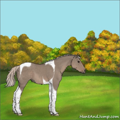 Horse Color:Silver Grullo Tobiano 