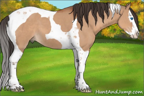 Horse Color:Bay Dun Splash Tobiano 