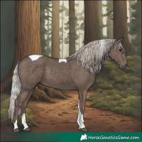 Horse Color:Silver Black Tobiano 