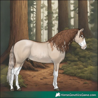 Horse Color:Grullo Pearl Splash