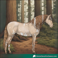 Horse Color:White Spotted Grullo Pearl 