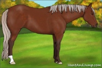Horse Color:Silver Brown 