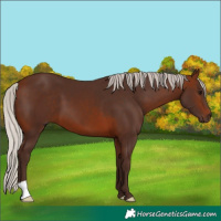 Horse Color:Silver Brown 