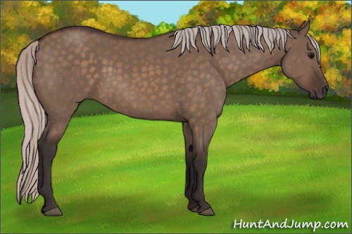 Horse Color:Silver Brown Dun 