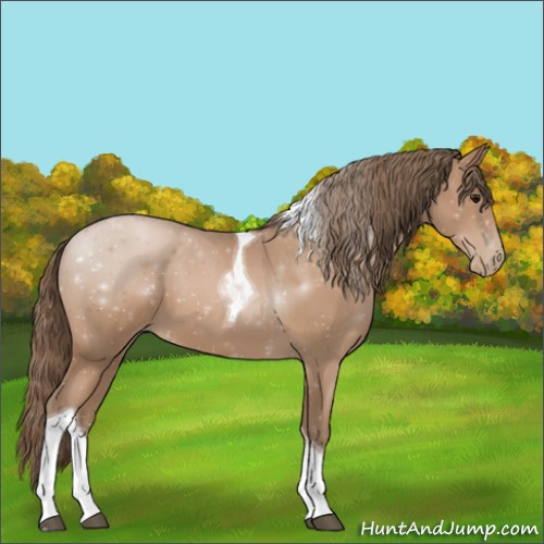 Horse Color:Black Pearl Sabino Tobiano 