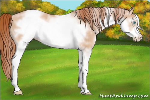 Horse Color:White Spotted Buckskin Pearl Frame 