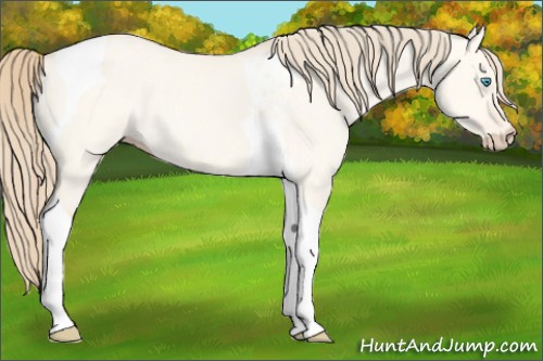 Horse Color:Perlino Dun Tobiano 